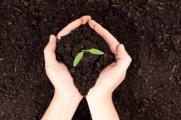 Fertility Health Checks